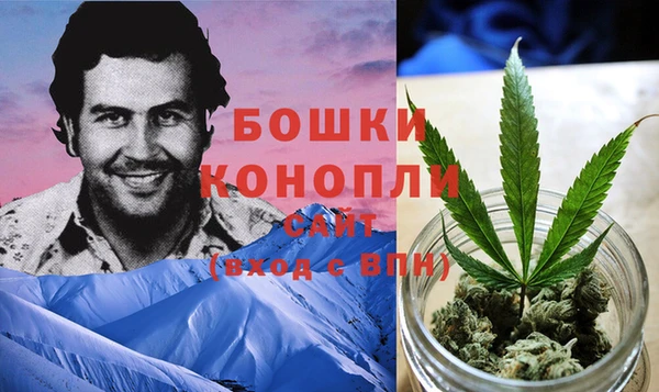 ешки Богданович